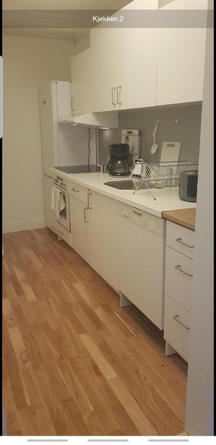 דירות Blue House Brevik פורסגרון מראה חיצוני תמונה